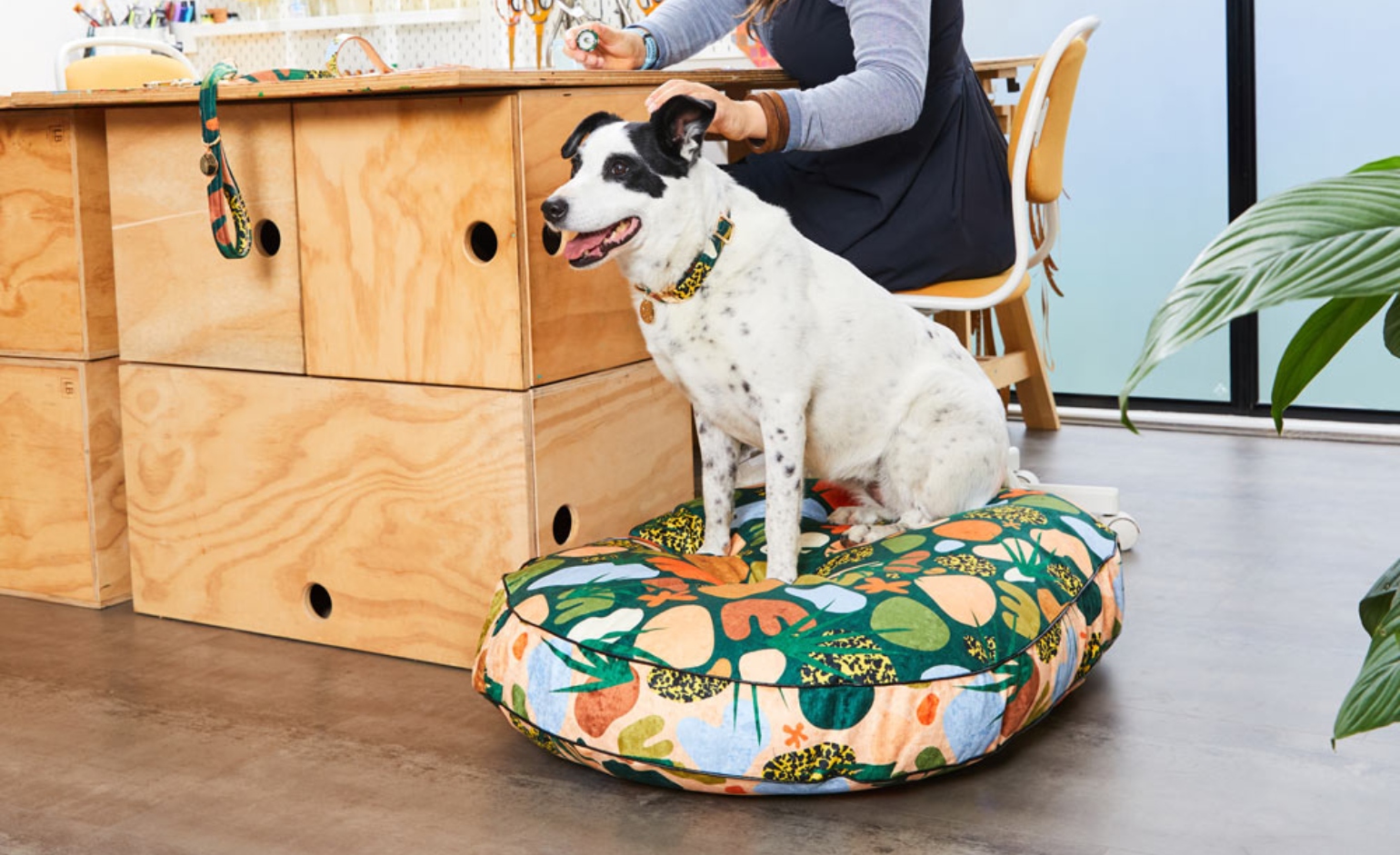 dog on patterned bed
