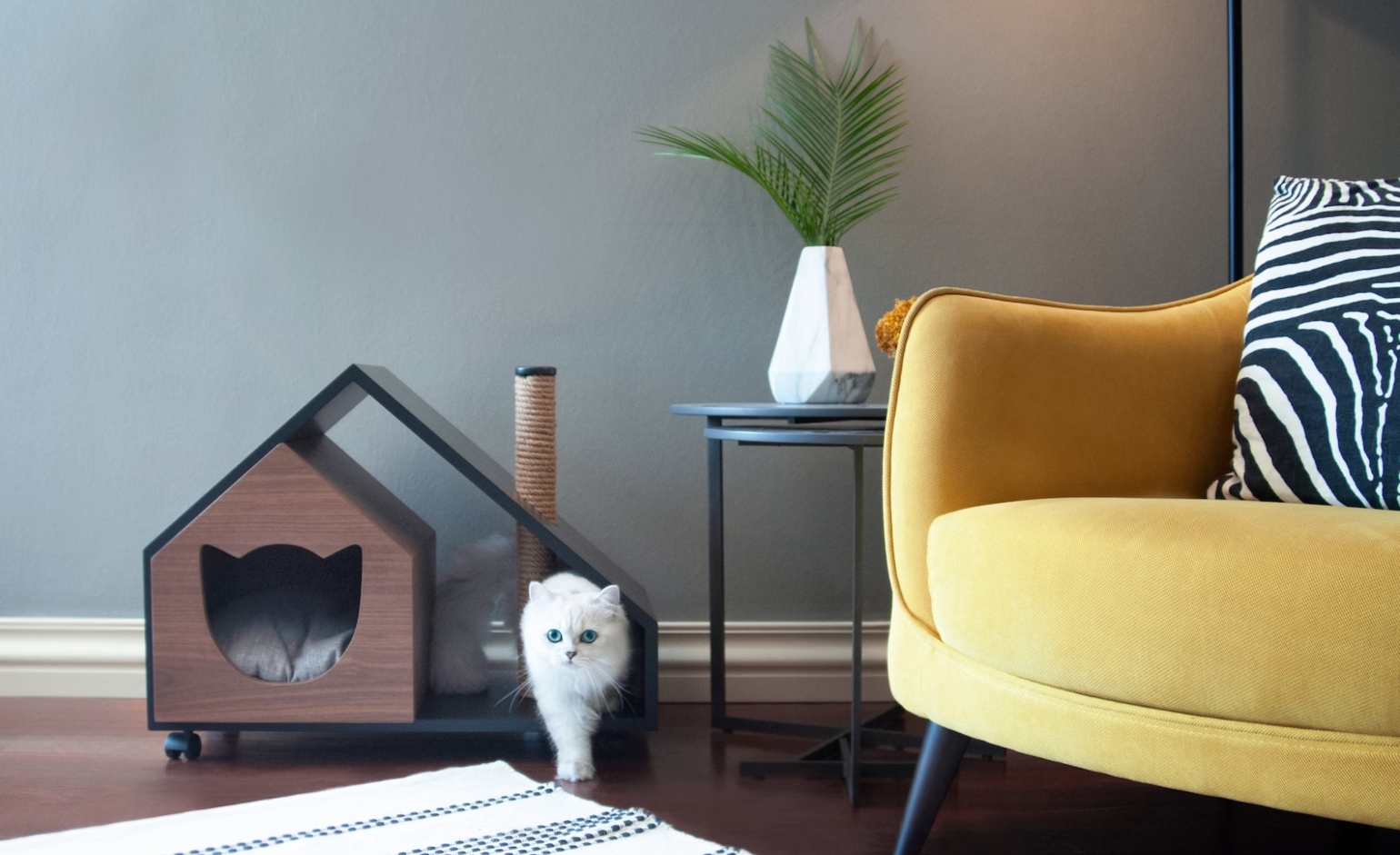 white cat in cat home